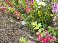 uDrip Raised Bed Watering Kit